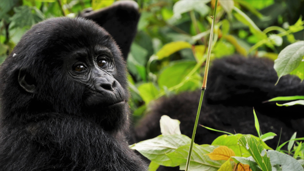 Our very own Leah Whitfield shares moments she’ll never forget from her recent trek through this East African gem